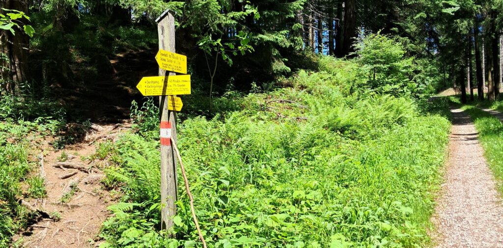 Entscheidung mit Weg 4